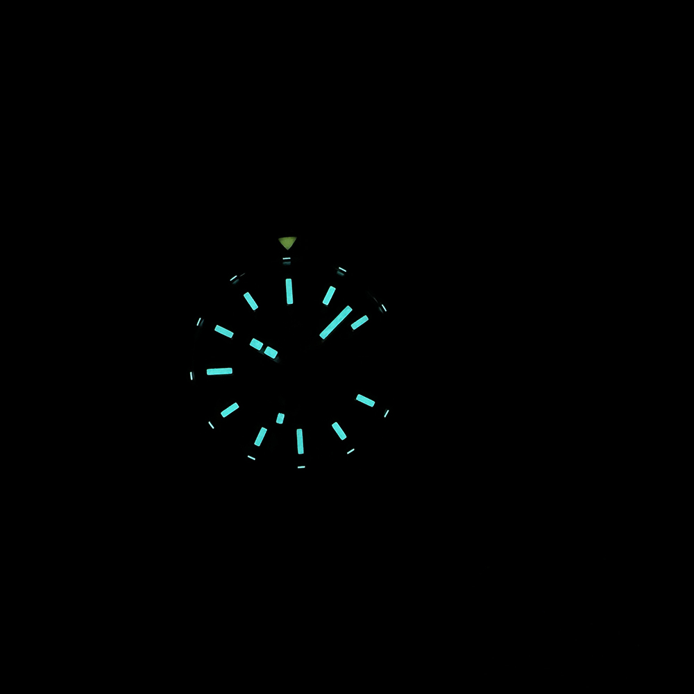 STEELDIVE Official SD1927 BGW9 - Seiko Watch Prospex review and price
